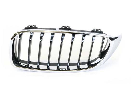 BMW Kidney Grille - Front Driver Side 51137294817